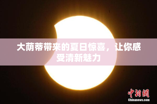 大荫蒂带来的夏日惊喜，让你感受清新魅力