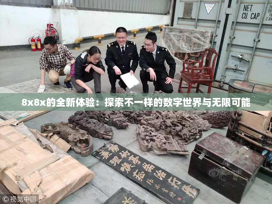 8x8x的全新体验：探索不一样的数字世界与无限可能