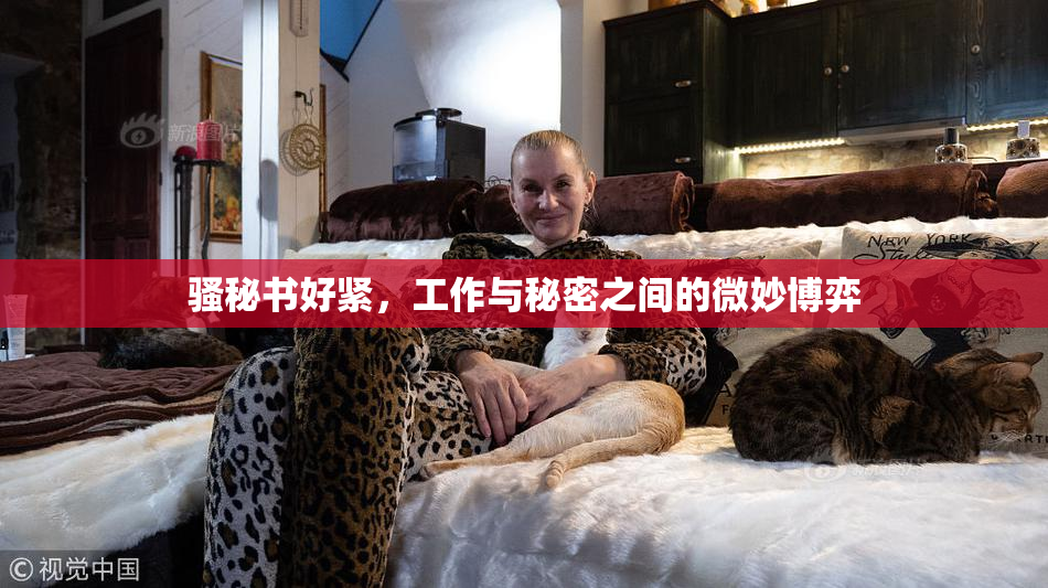 骚秘书好紧，工作与秘密之间的微妙博弈