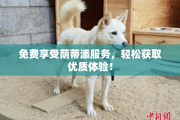 免费享受荫蒂添服务，轻松获取优质体验！