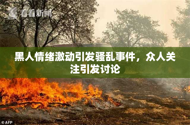 黑人情绪激动引发骚乱事件，众人关注引发讨论