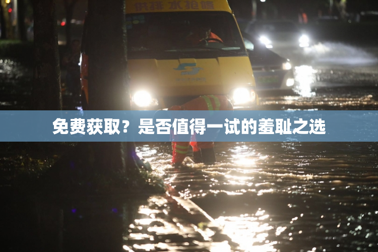 免费获取？是否值得一试的羞耻之选