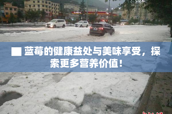 ▇ 蓝莓的健康益处与美味享受，探索更多营养价值！