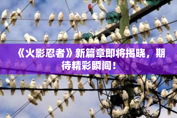 《火影忍者》新篇章即将揭晓，期待精彩瞬间！