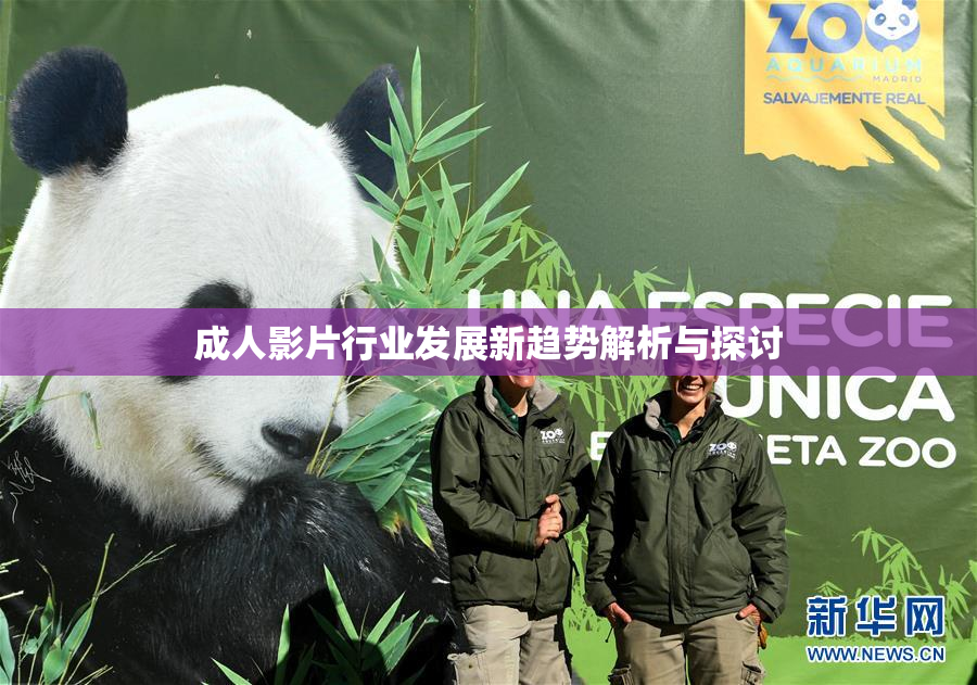 成人影片行业发展新趋势解析与探讨