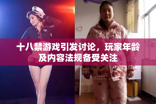 十八禁游戏引发讨论，玩家年龄及内容法规备受关注