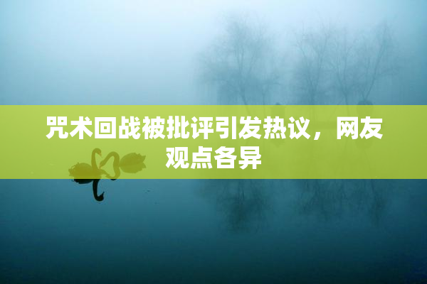 咒术回战被批评引发热议，网友观点各异