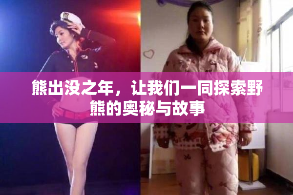 熊出没之年，让我们一同探索野熊的奥秘与故事