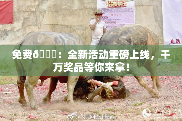 免费🔞：全新活动重磅上线，千万奖品等你来拿！