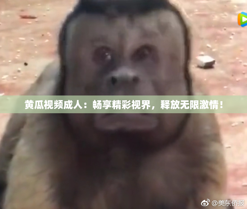 黄瓜视频成人：畅享精彩视界，释放无限激情！