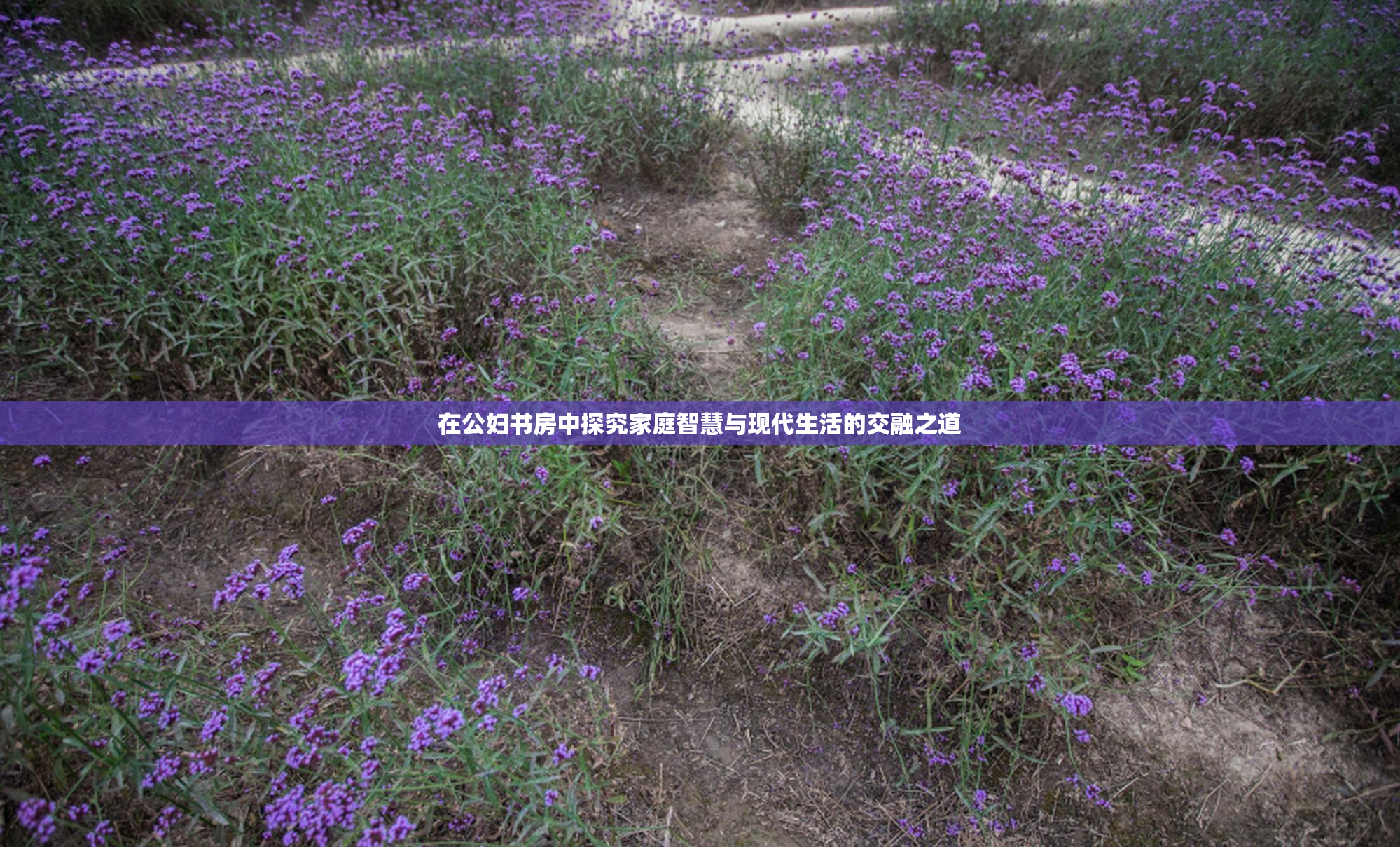 在公妇书房中探究家庭智慧与现代生活的交融之道