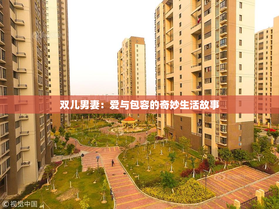 双儿男妻：爱与包容的奇妙生活故事