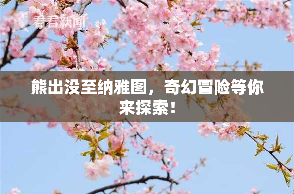 熊出没至纳雅图，奇幻冒险等你来探索！