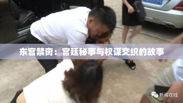 东宫禁脔：宫廷秘事与权谋交织的故事