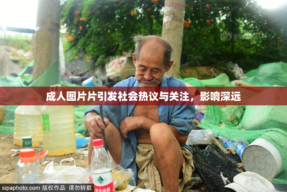 成人图片片引发社会热议与关注，影响深远