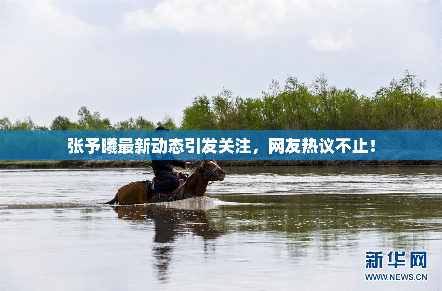 张予曦最新动态引发关注，网友热议不止！