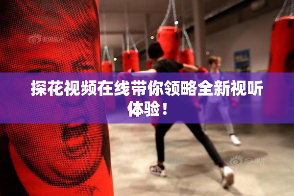 探花视频在线带你领略全新视听体验！