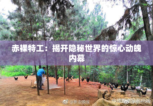 赤裸特工：揭开隐秘世界的惊心动魄内幕