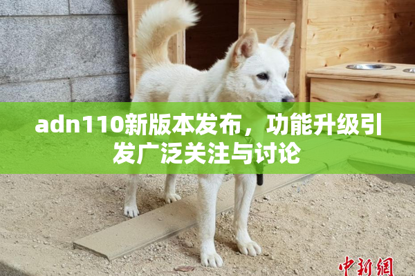 adn110新版本发布，功能升级引发广泛关注与讨论