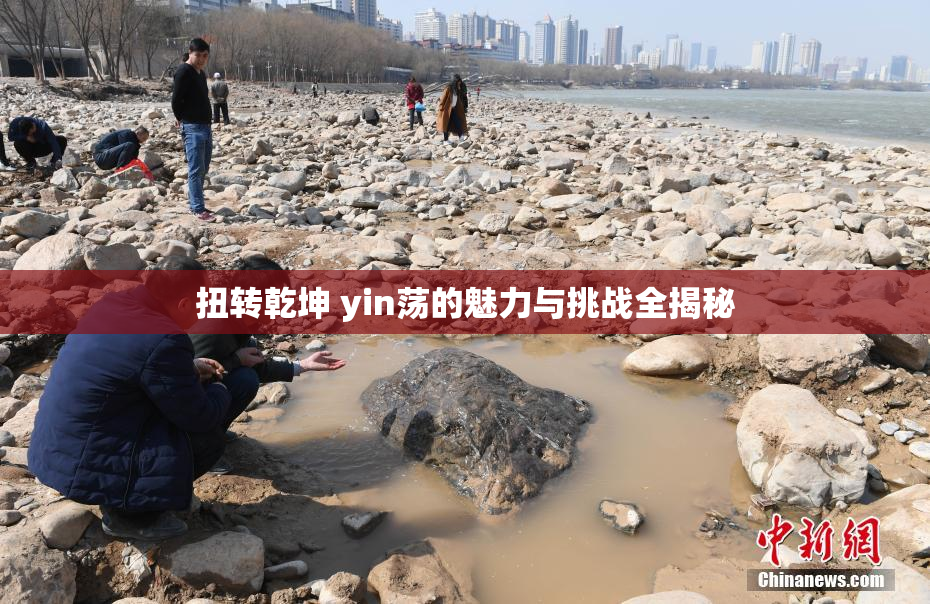 扭转乾坤 yin荡的魅力与挑战全揭秘