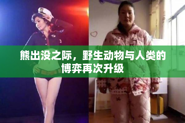 熊出没之际，野生动物与人类的博弈再次升级