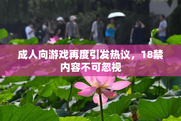 成人向游戏再度引发热议，18禁内容不可忽视