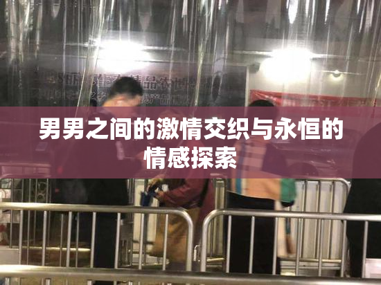 男男之间的激情交织与永恒的情感探索