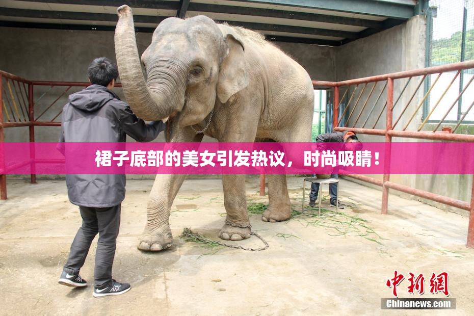 裙子底部的美女引发热议，时尚吸睛！