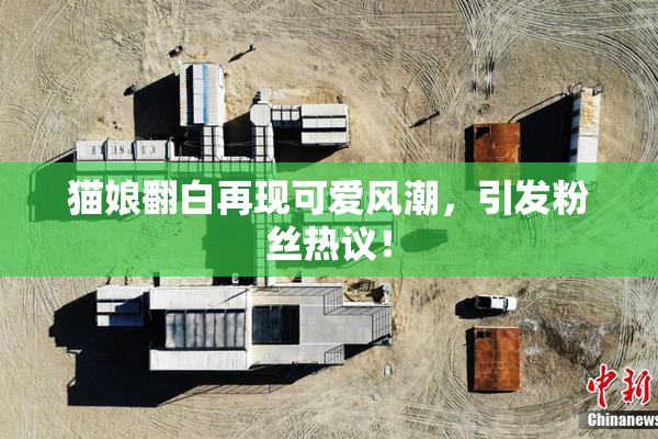 猫娘翻白再现可爱风潮，引发粉丝热议！