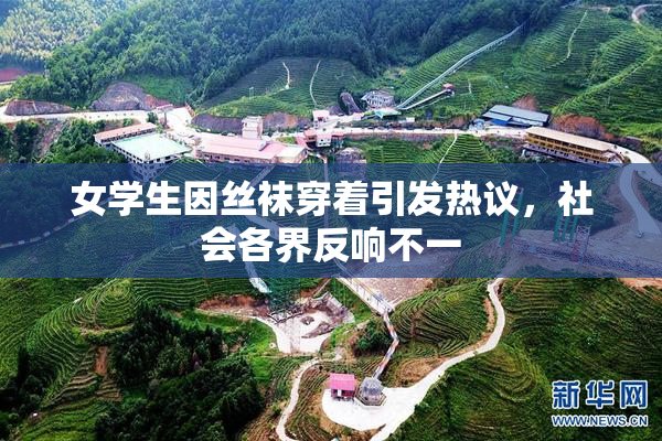 女学生因丝袜穿着引发热议，社会各界反响不一