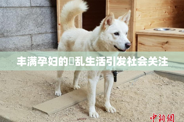 丰满孕妇的婬乱生活引发社会关注