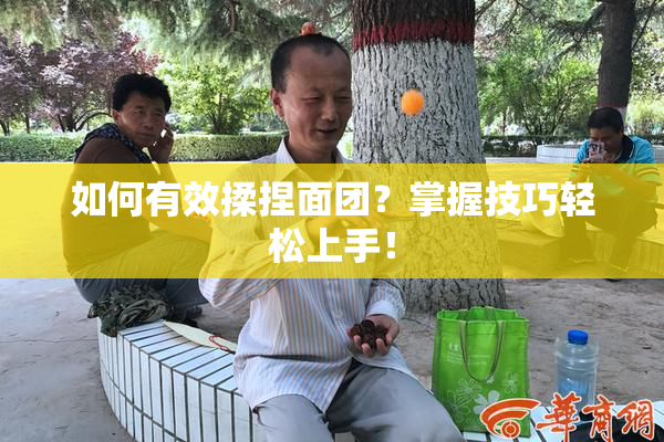 如何有效揉捏面团？掌握技巧轻松上手！