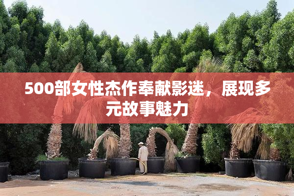 500部女性杰作奉献影迷，展现多元故事魅力