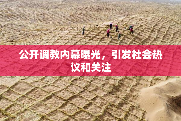 公开调教内幕曝光，引发社会热议和关注