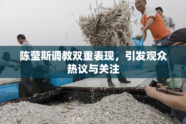 陈莹斯调教双重表现，引发观众热议与关注