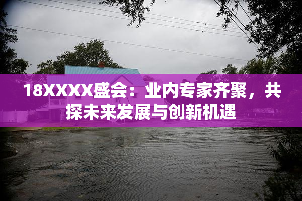 18XXXX盛会：业内专家齐聚，共探未来发展与创新机遇