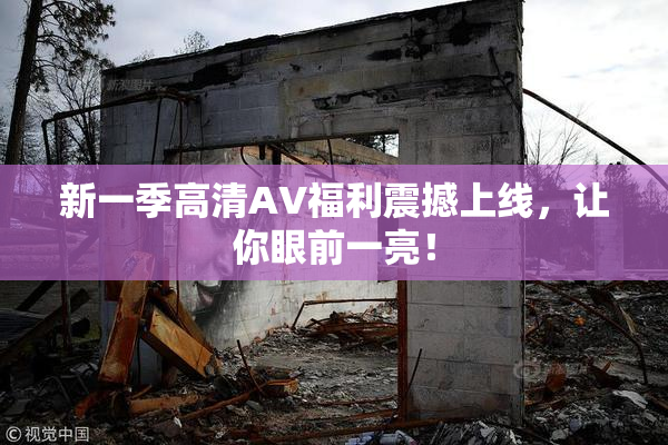 新一季高清AV福利震撼上线，让你眼前一亮！