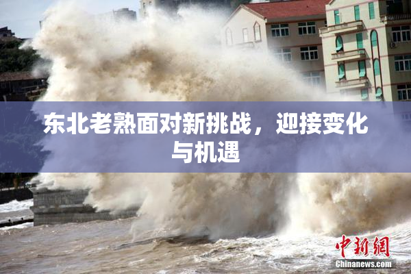 东北老熟面对新挑战，迎接变化与机遇