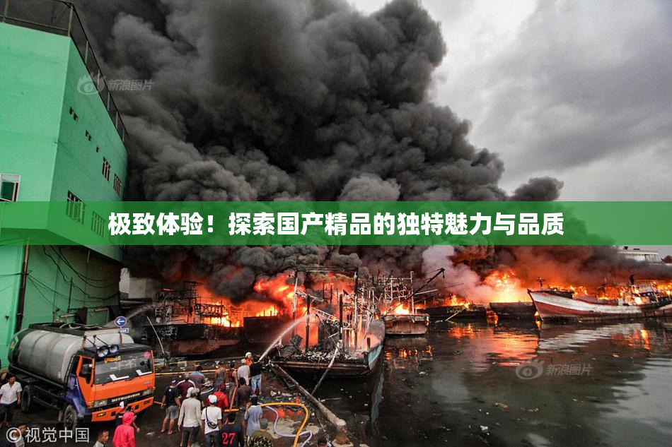 极致体验！探索国产精品的独特魅力与品质