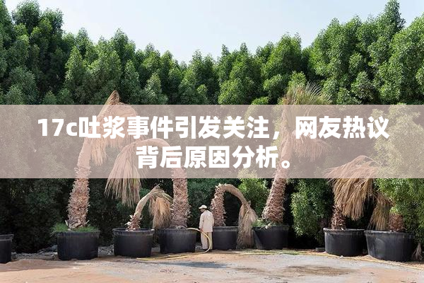 17c吐浆事件引发关注，网友热议背后原因分析。
