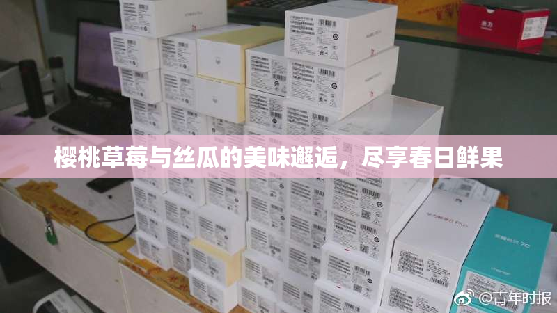 樱桃草莓与丝瓜的美味邂逅，尽享春日鲜果