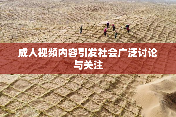 成人视频内容引发社会广泛讨论与关注