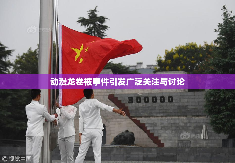 动漫龙卷被事件引发广泛关注与讨论