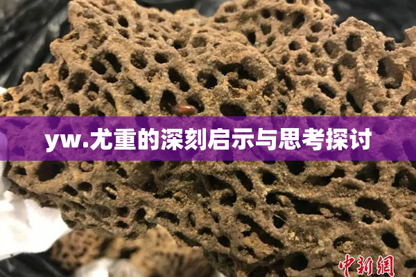 yw.尤重的深刻启示与思考探讨