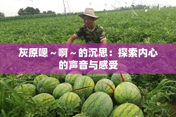 灰原嗯～啊～的沉思：探索内心的声音与感受