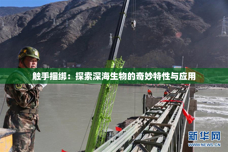 触手捆绑：探索深海生物的奇妙特性与应用