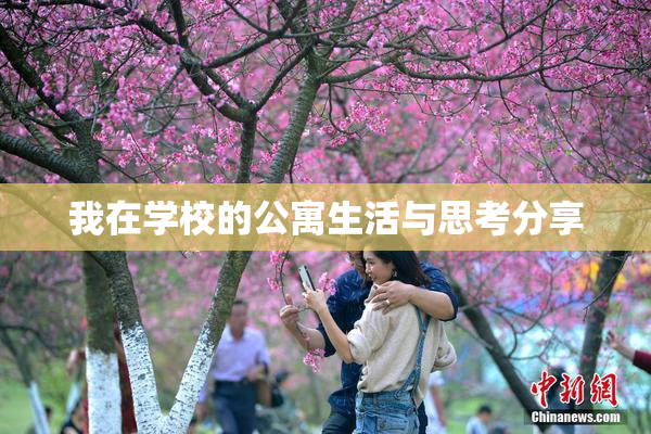 我在学校的公寓生活与思考分享
