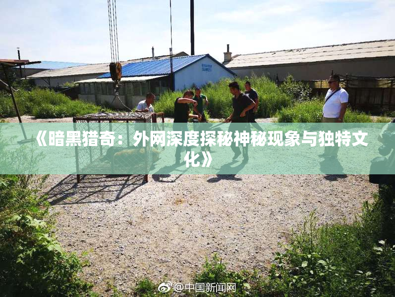 《暗黑猎奇：外网深度探秘神秘现象与独特文化》