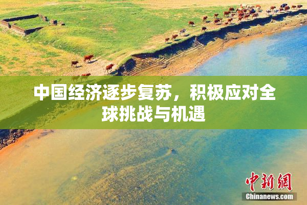 中国经济逐步复苏，积极应对全球挑战与机遇