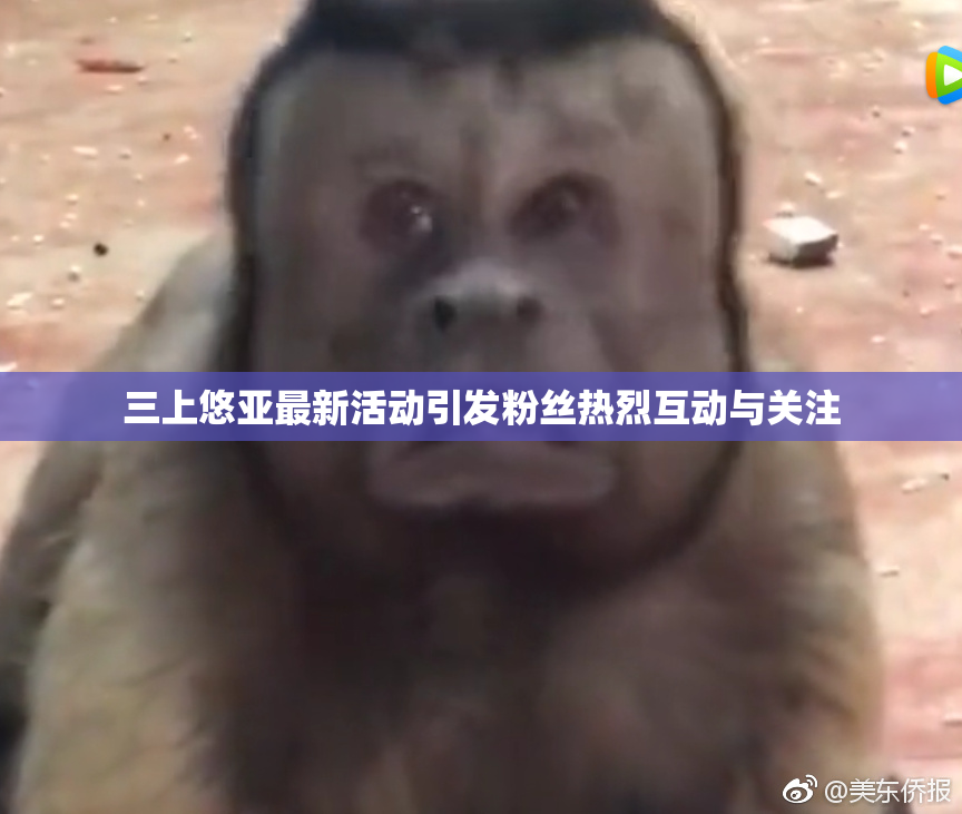三上悠亚最新活动引发粉丝热烈互动与关注